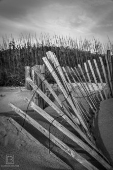 Sand Fence
