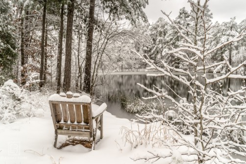 Snowy Seat
